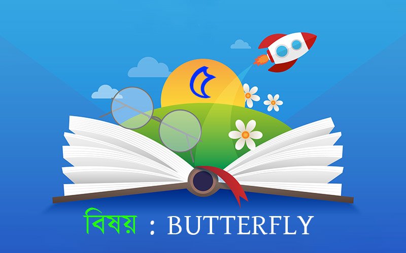 Butterfly Cover